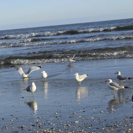 Loris Landing Cottage Myrtle Beach Dış mekan fotoğraf