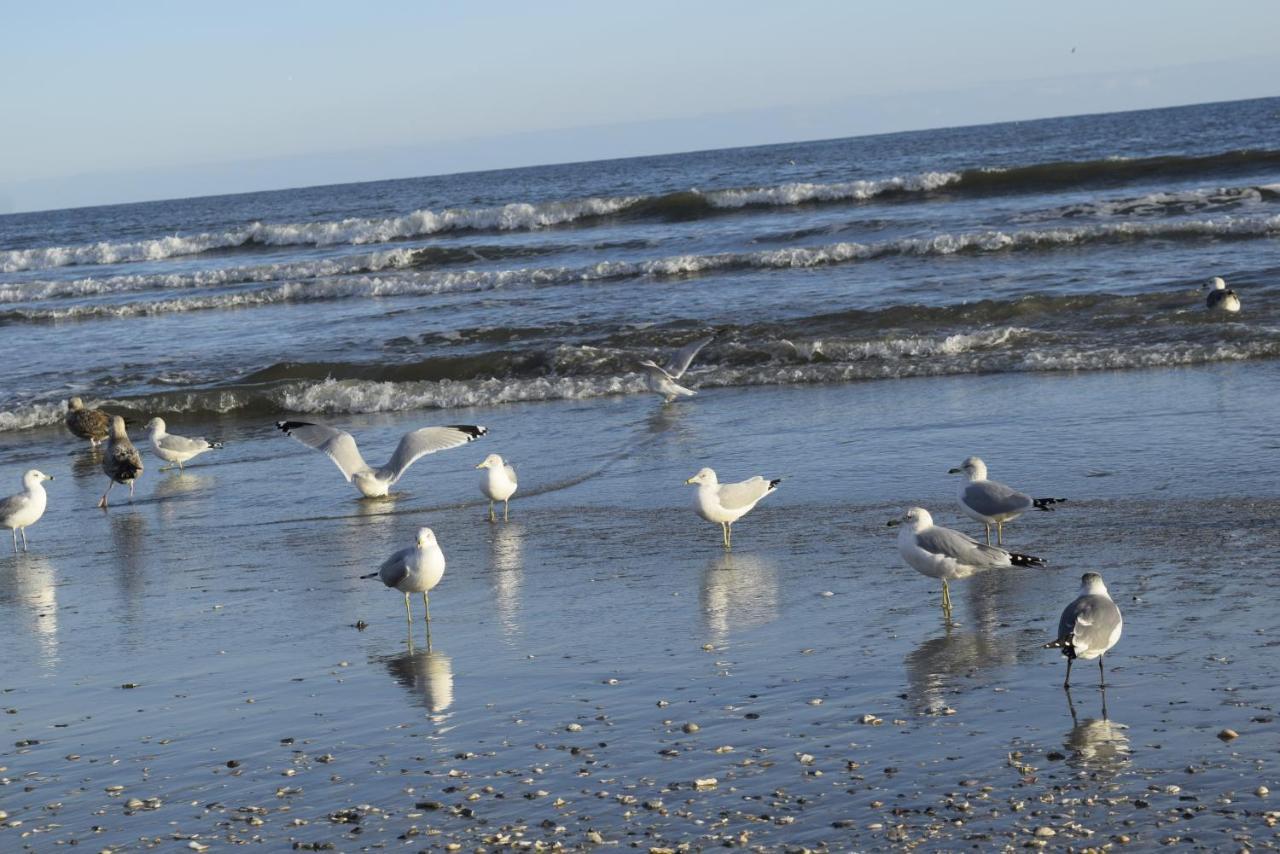 Loris Landing Cottage Myrtle Beach Dış mekan fotoğraf